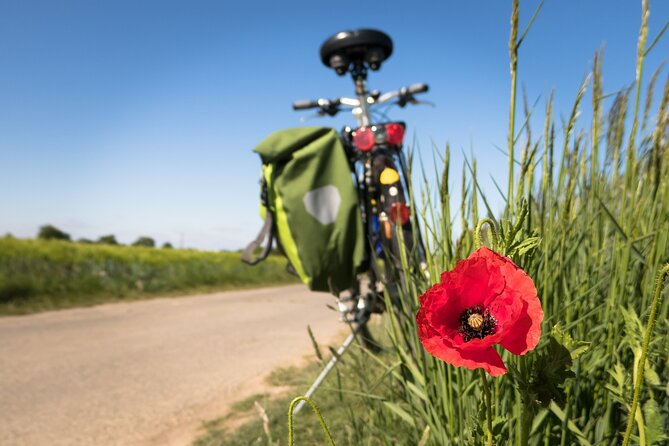 Half-day Hoi An Countryside Bike Tour - Reviews and Feedback