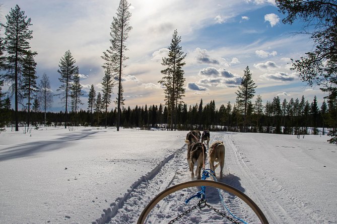 Half-Day Husky Safari and Salmon Ice Fishing Experience - Ice Fishing Adventure