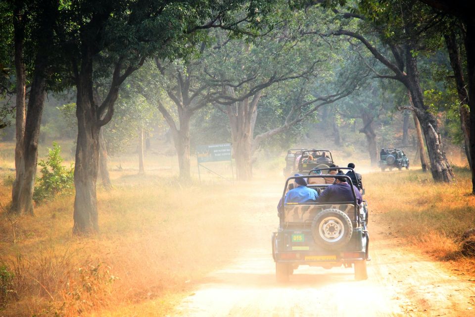 Half Day in Yala Safari - Reservation and Cancellation