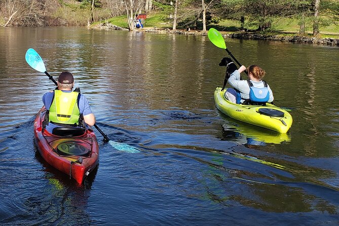 Half Day Kayak Rental on Sebago Lake - Wildlife Spotting Opportunities