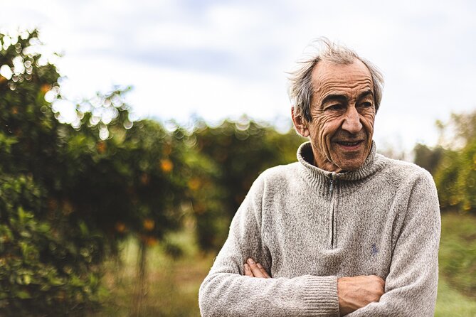 Half-Day-Orange Picking &Jam Cooking/Lunch With the Orange Farmer - Itinerary