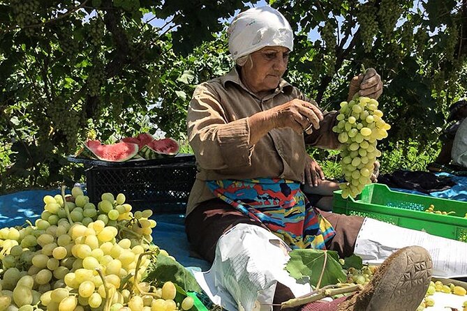 Half Day Private Tour to Khor Virap - Exclusive and Personalized Experience