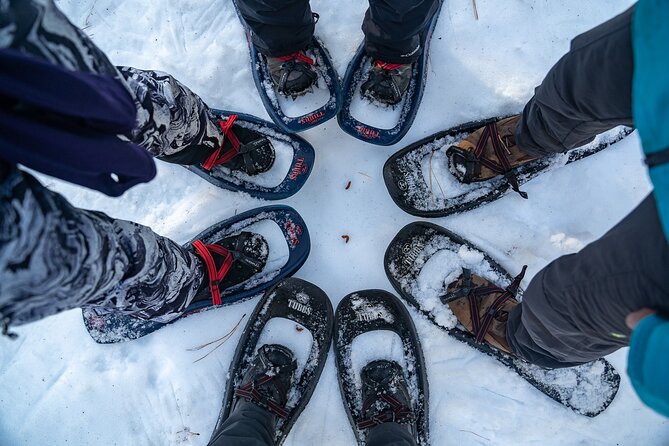 Half Day Snowshoe Hike in Tahoe National Forest - Preparing for the Adventure