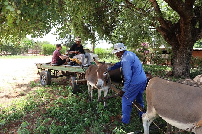 Half Day Tour From Gaborone (Manyana Village Visit) - Traveler Reviews