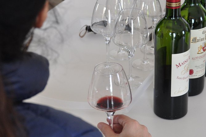 Half-Day Tour to Saint Emilion, a UNESCO Site, With a Private Guide - Tour Price and Inclusions