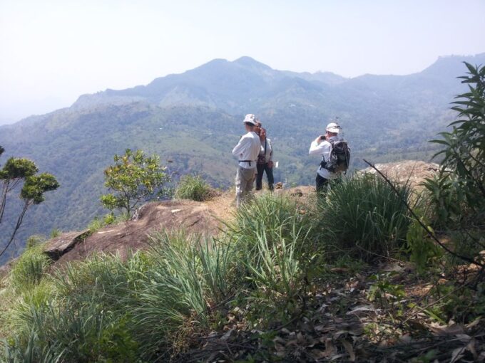 Haputale: Ella, Small Adams Peak, & Nine Arches Bridge Hike - Pricing and Availability