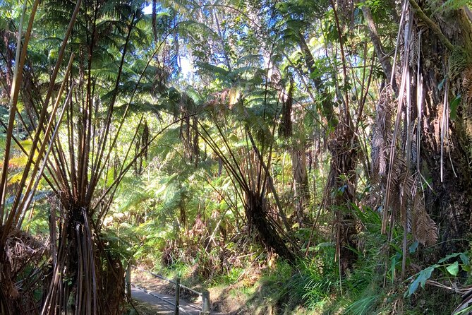 Hawaiis Volcanoes National Park From Hilo Only - Pricing and Cancellation Policy
