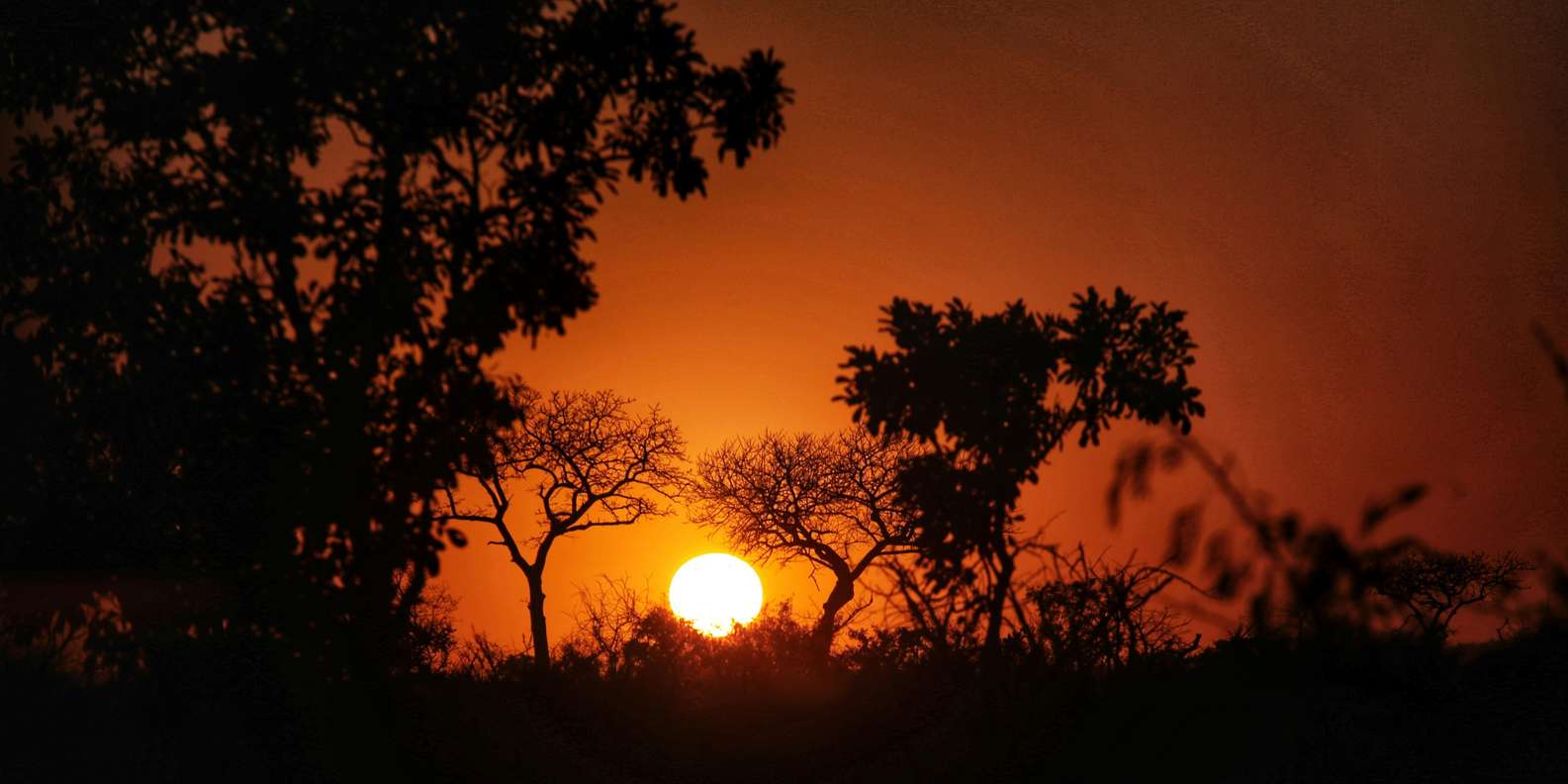 Hazyveiw : Kruger National Park Sunset Game Drive - Inclusions and Exclusions