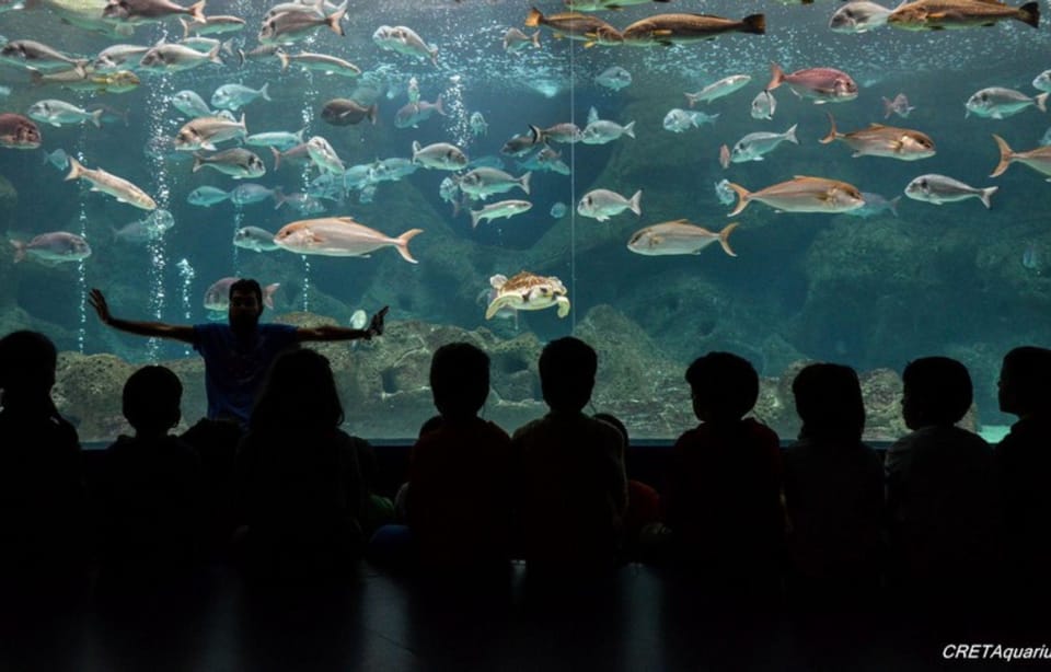 Heraklion: Family Fun Day With Dinosauria and Cretaquarium - Recommended Essentials