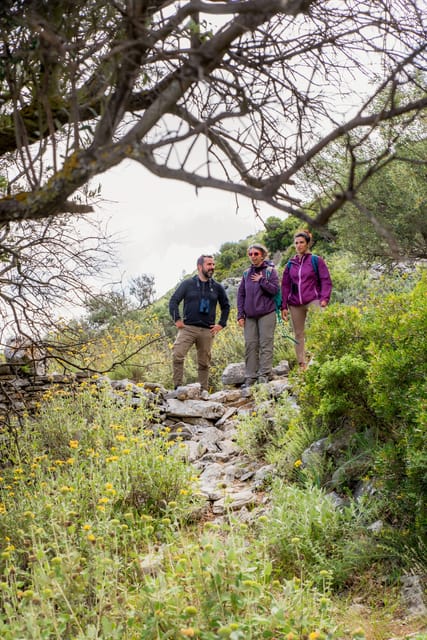 Herbalism and Wildlife (Small Group Experience) - Identifying Edible and Medicinal Plants