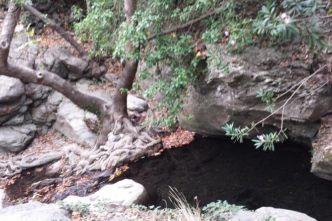 HIDDEN GEMS - RICHTIS GORGE for Nature Lovers! - Reviewing Booking and Meeting Details