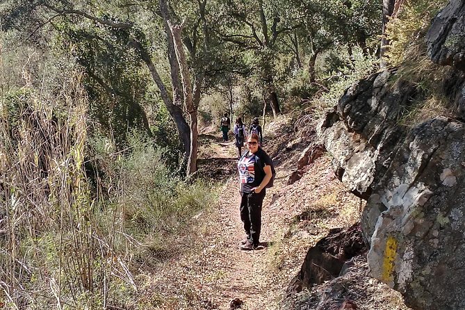 Hike the Cork Oak Trail and Try Some Delicious Cheese - Tour Accessibility and Fitness Requirements