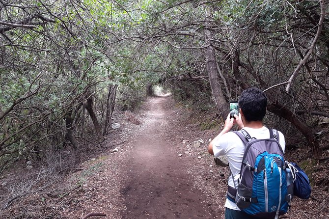 Hike to Gorropu Canyon Review - Exploring Nearby Attractions