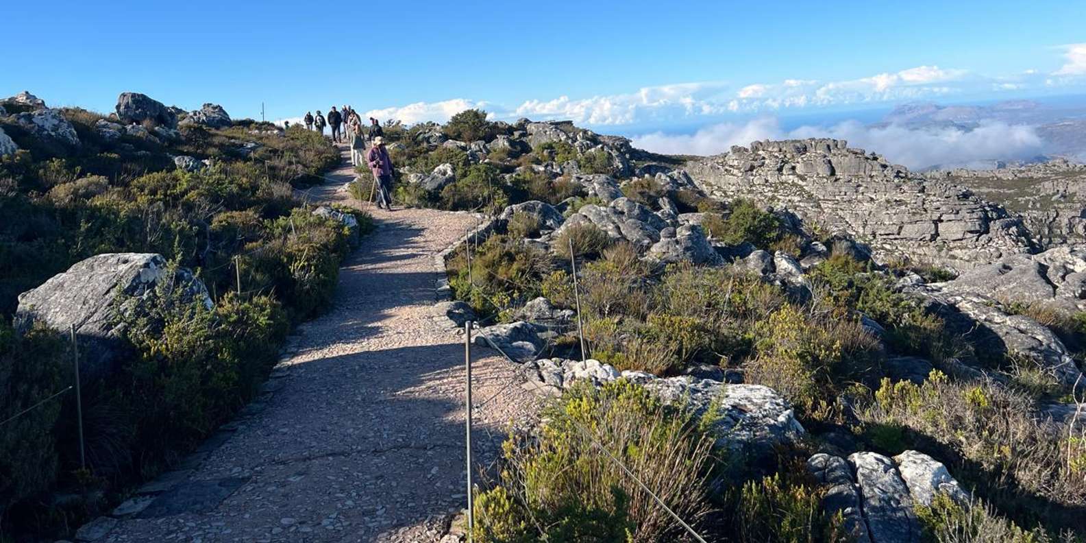 Hiking Table Mountain in Cape Town on a Private Day Trip - Appreciating the Panoramic City Views