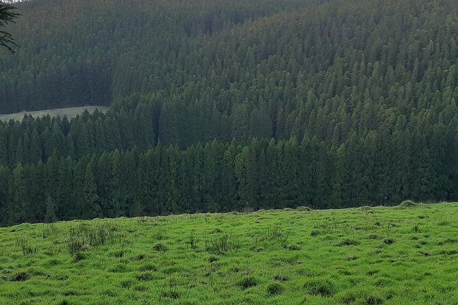 Hiking Trail Black Mysteries | Terceira Island - Inclusions and Exclusions