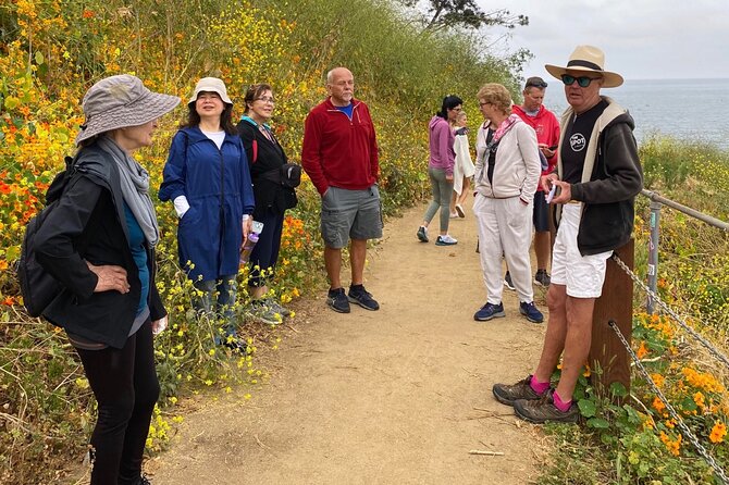 Historic La Jolla Walking Tour - What to Expect on the Tour
