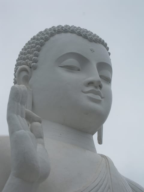 Historical Sri Lanka 5 Days Tour - Day 4: Pinnawala and Colombo