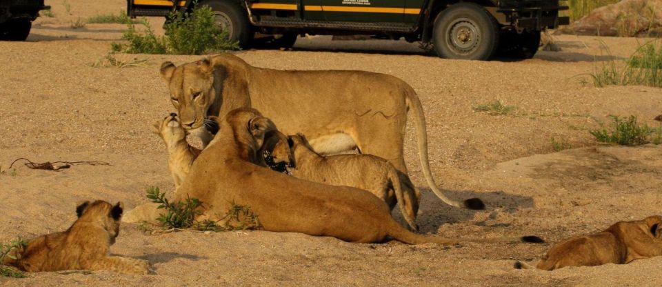 Hluhluwe, Isimangaliso & Drakensberg 5 Day Zululand Tour - Accessibility and Booking Information