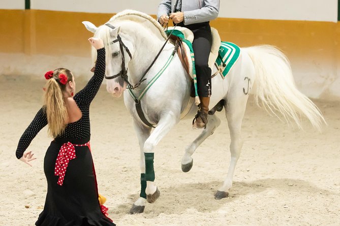 Horse and Flamenco Show in Malaga With Dinner - Stables and Equestrian Centre