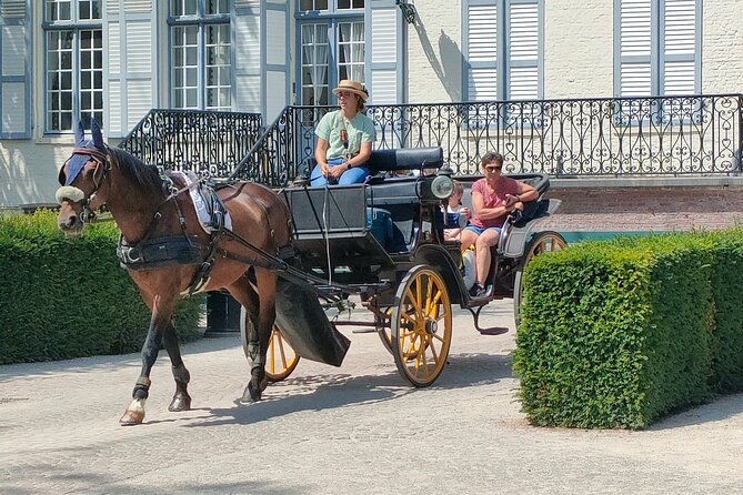 Horse-Drawn Carriage Ride and Guided Walk - Traveler Reviews and Feedback