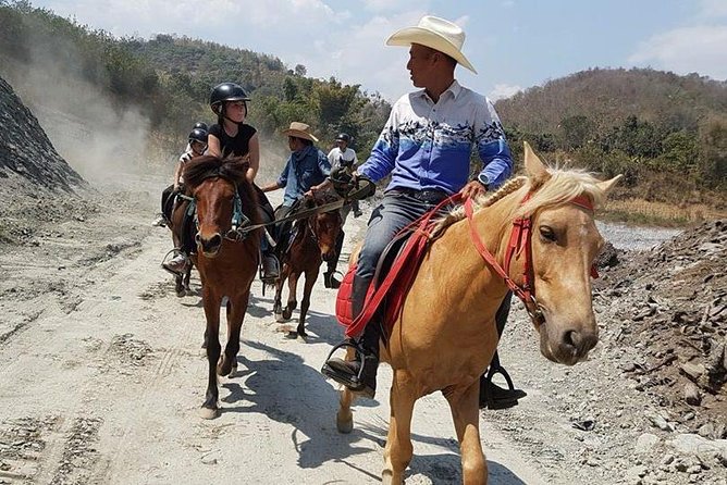 Horse Lesson+Riding+Wat Tonkwen Wooden Temple.Chiangmai - Pricing Information