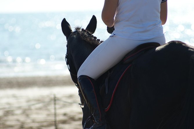 Horse Riding on the Beach, Rhodes - Booking and Cancellation Policies