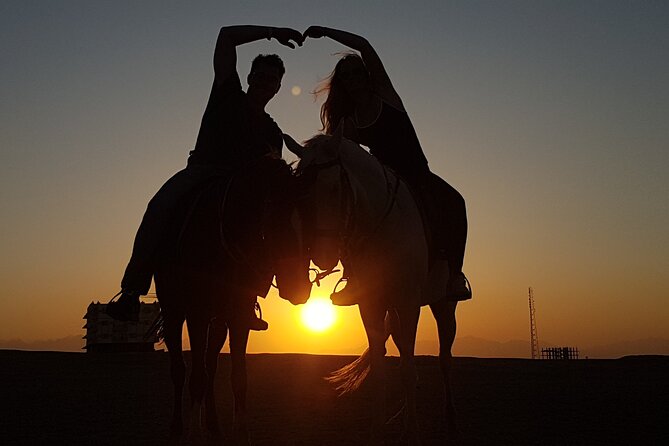 Horse Riding Tour 2 Hours Sea and Desert With Transfer - Hurghada - Host Response to Feedback