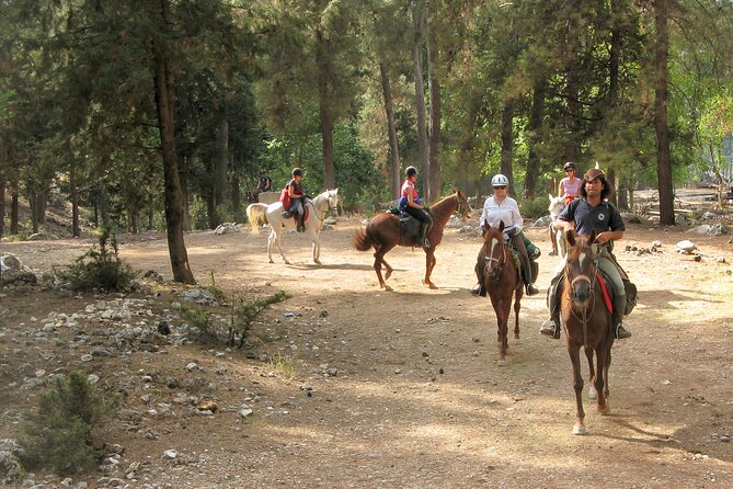 Horse Riding Tour in Bodrum With Hotel Pick up - Suitable for All Riding Levels