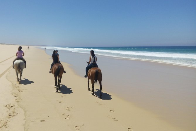 Horse Riding Tour on the Beach Lisbon Region - Safety Measures and Equipment