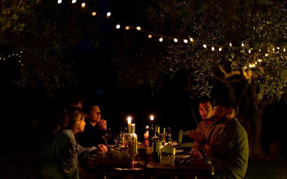 Horse Walking and Olive Oil Tasting - Gentle Horses Encounter