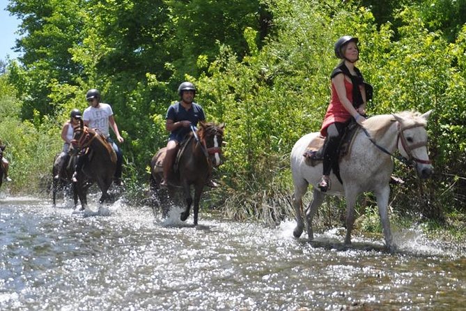 Horseback Riding Adventure Tour From Kusadasi and Selcuk - Past Participant Reviews