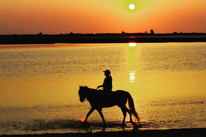 Horseback Riding at Sunrise 3h - Transportation Options