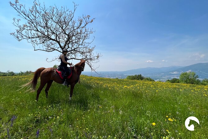 Horseback Riding for Experts Between the Lake and the Mountains - Pricing Information and Booking