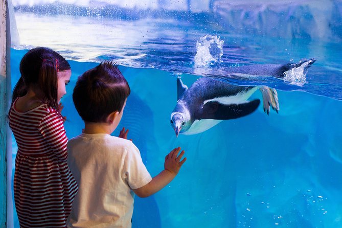 Hunstanton SEA LIFE Sanctuary General Admission Ticket - Tips for Visitors