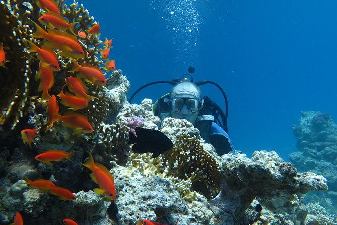 Hurghada Daily Scuba Dive Trip - Safety and Support Measures