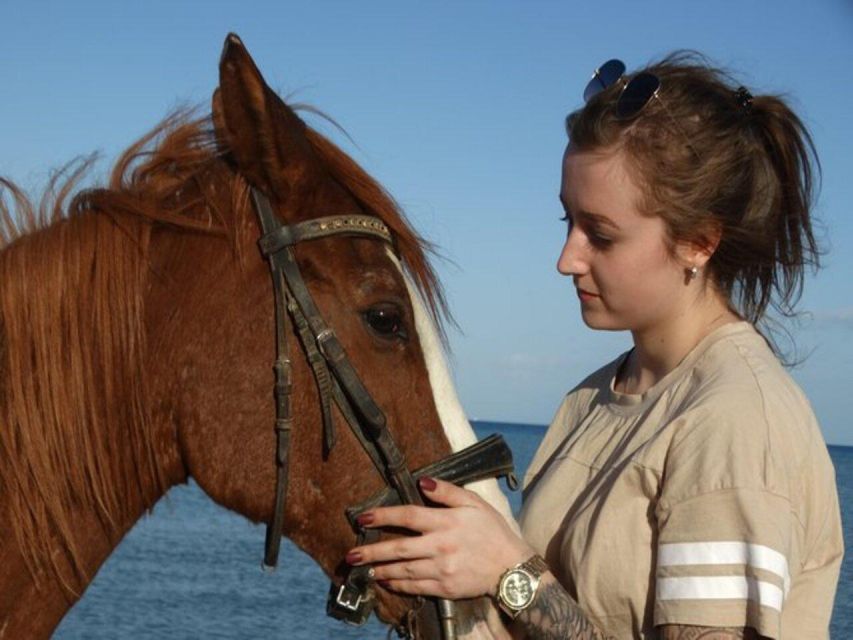 Hurghada: Desert and Sea Horseback Riding Tour With Transfer - Inclusions of the Tour