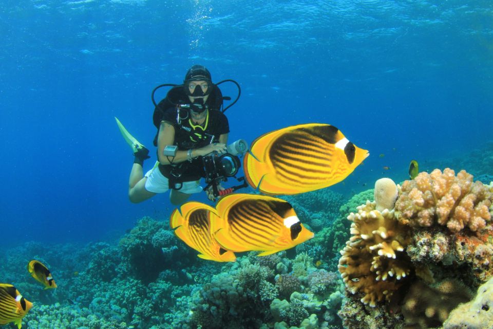 Hurghada: Diving & Snorkeling Cruise Tour W Lunch & Drinks - What to Bring