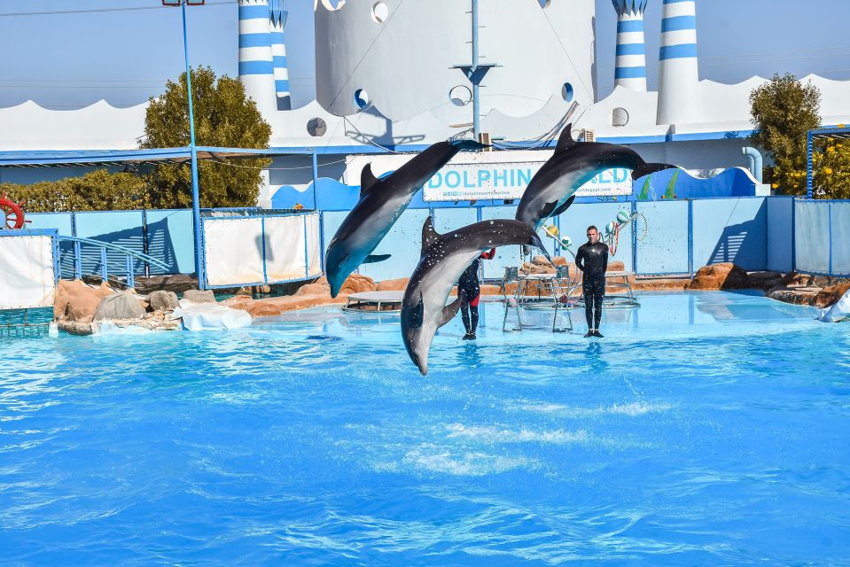 Hurghada: Dolphin World Show With Walruses and Pickup - Booking Tips