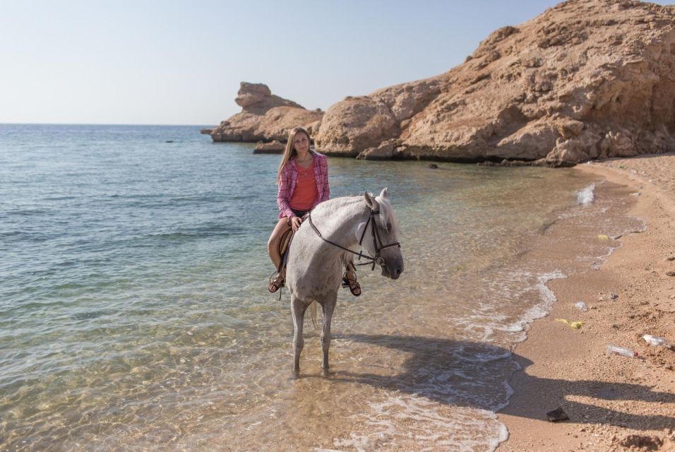 Hurghada: Horse Ride Along the Sea & Desert With Transfers - Booking Information