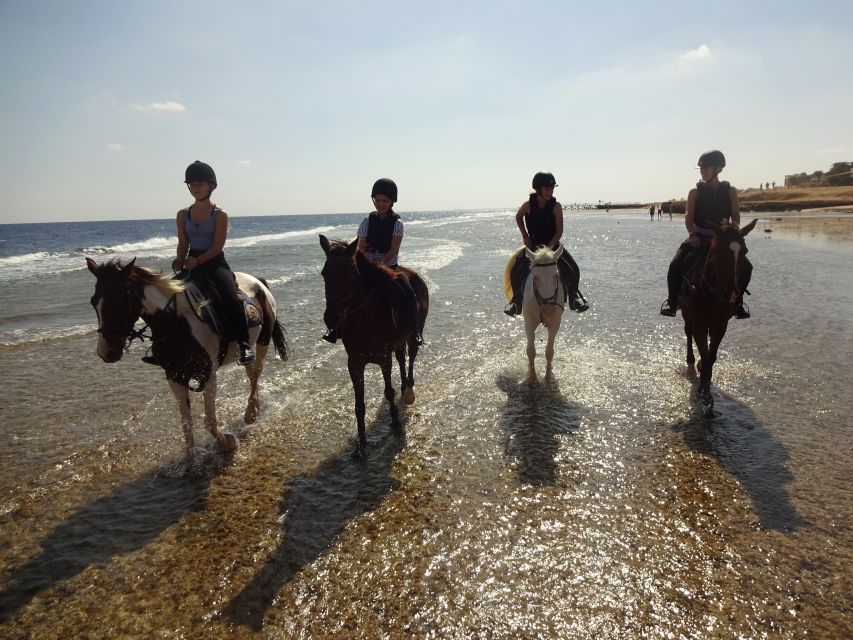 Hurghada: Sea & Desert Horse Tour, Stargazing, Dinner & Show - Pricing Information