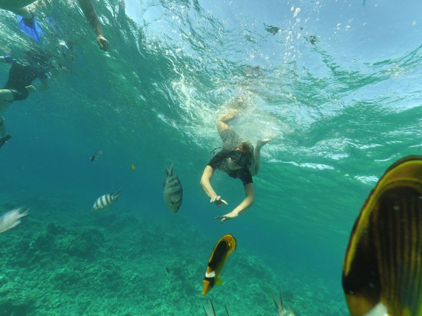 Hurghada: Snorkelling Trip by Speedboat With Hotel Pickup - Important Safety Information