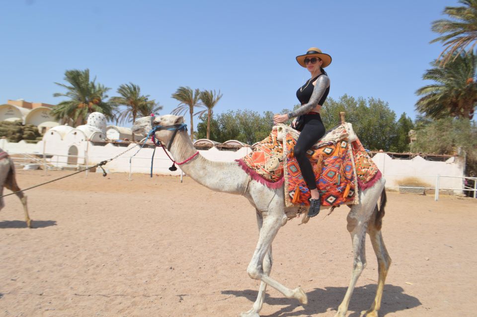 Hurghada: Sunset Quad Bike, Camel W/ Opt Stargazing and BBQ - Optional Activities