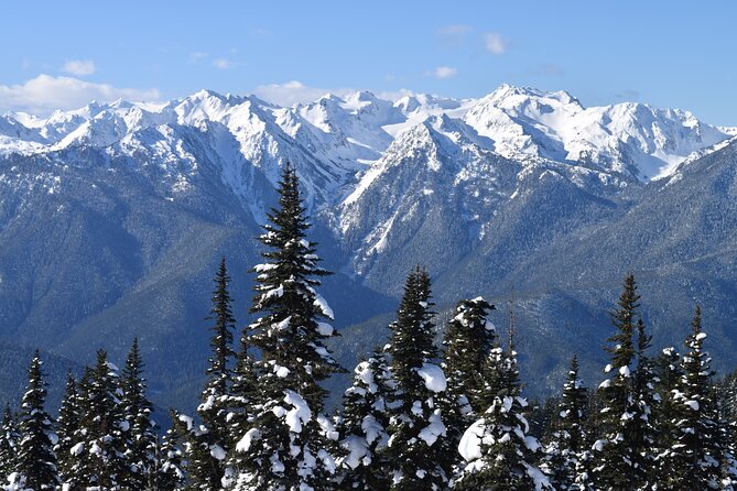 Hurricane Ridge Guided Snowshoe Tour in Olympic National Park - Visitor Tips