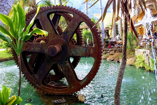 Iao Needle Gardens Streams Rainforest Walk & Bg Green Seaturtles - Guest Feedback and Improvements