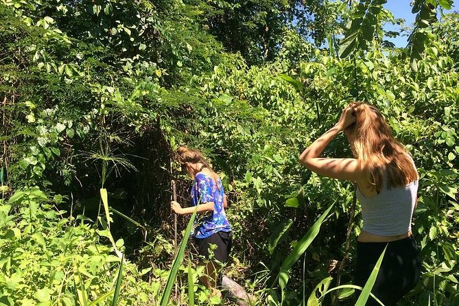Iquitos in the Jungle 2 Days -1 Night - Immersion in Nature