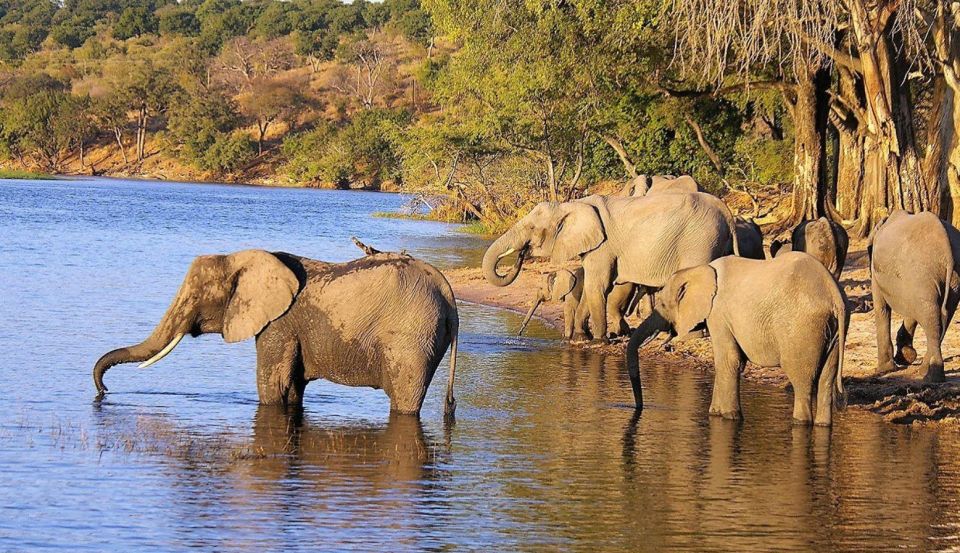 Isimangaliso Boat Cruise & Game Drive Day Tour From Durban - Isimangaliso Wetland Park