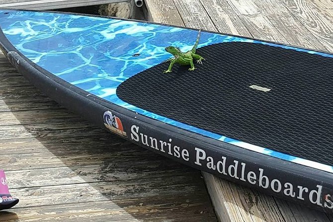 Island City ECO Paddle and Lesson to 9.3 Acre Nature Preserve - Customer Experiences