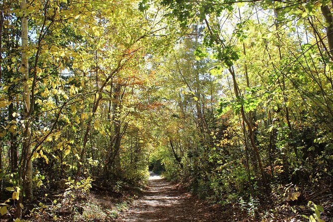 Island Drive & Anne of Green Gables Tour - Inclusions and Exclusions