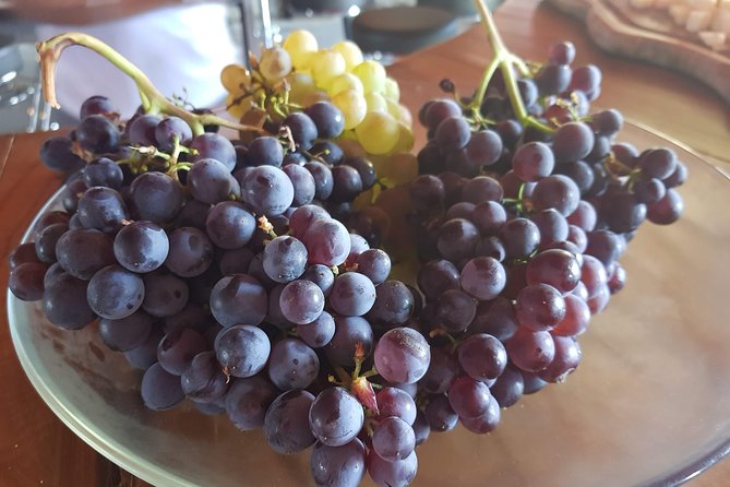 Italian Riviera: Val Nervia Half-Day Small-Group Tour  - Sanremo - Traveler Reviews Highlights