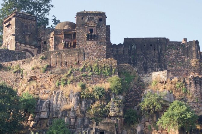 Jaipur to Ranthambore National Park Same Day Tour - Tips for Travelers